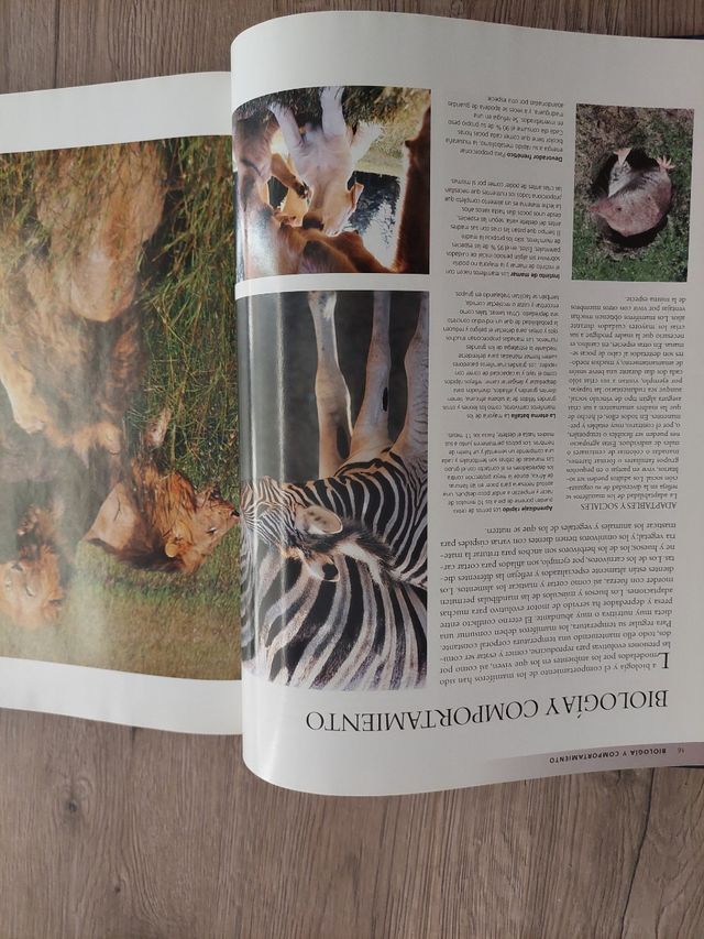 Enciclopedia de los animales. Mamíferos I. (Con...