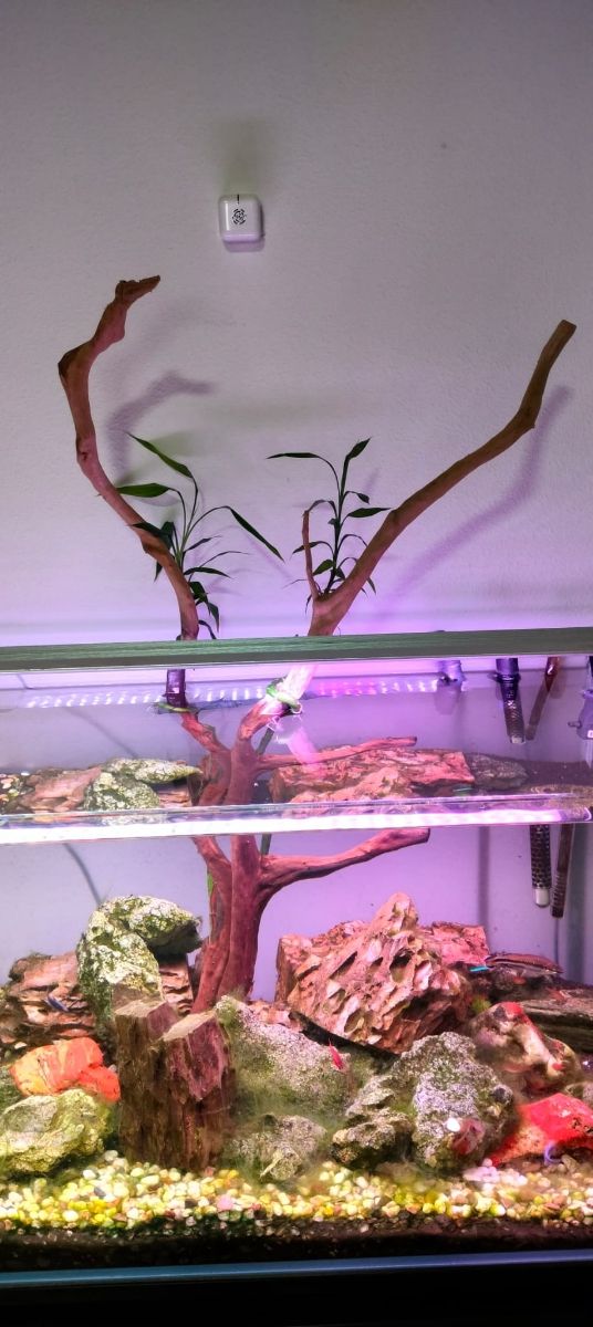 OPORTUNIDAD, 
Pecera con accesorios largo  90, anc