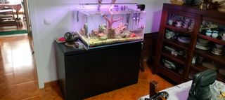 OPORTUNIDAD, 
Pecera con accesorios largo  90, anc