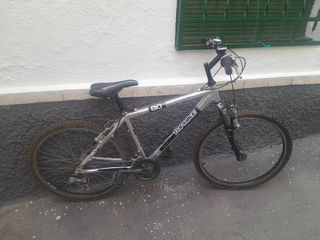 Bicicleta Topbike 80 aluminio