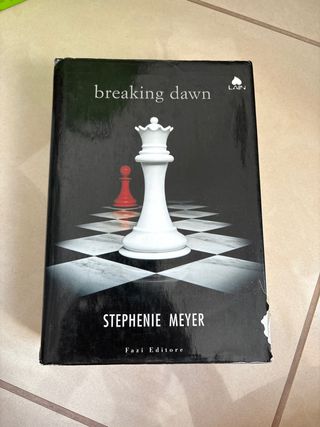 Breaking Dawn