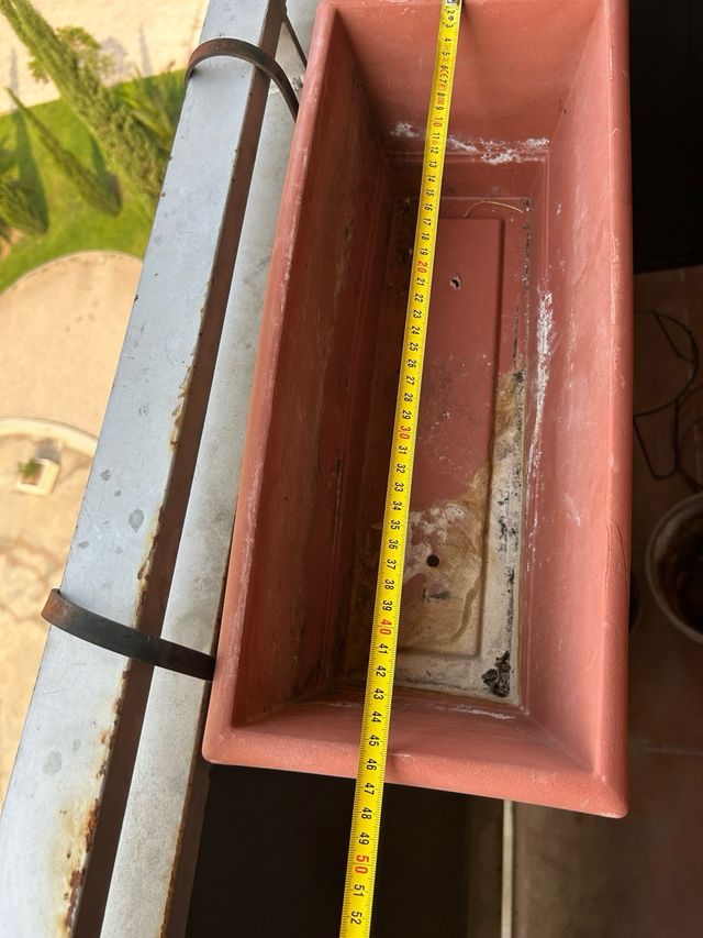 Macetero gris plástico