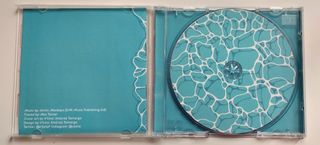 CD Arctic Monkeys - Straighten the Rudder