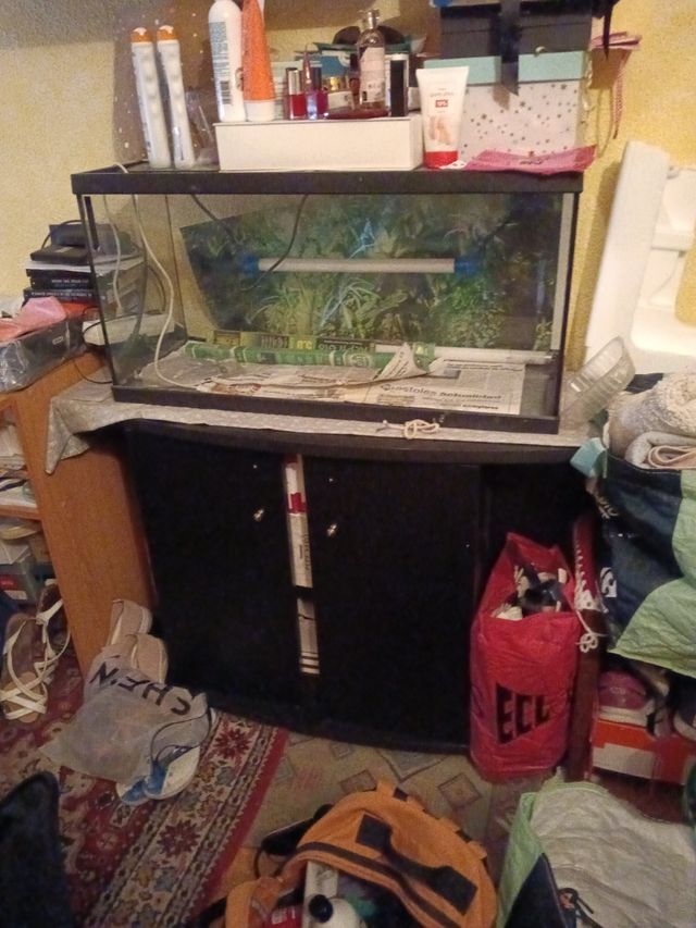 Terrario de 80x30x40cm