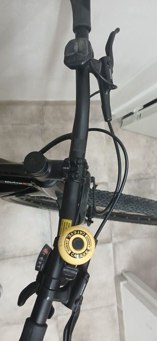Bicicleta eléctrica montaña