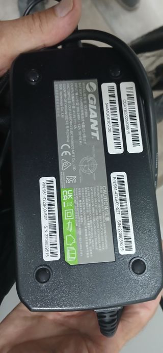 Bicicleta eléctrica montaña