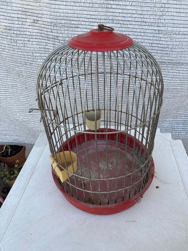 Jaula pajaros vintage redonda