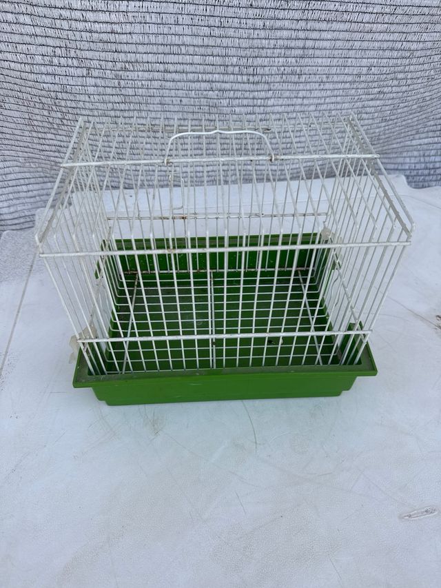 Jaula pájaros pequeña - Verde