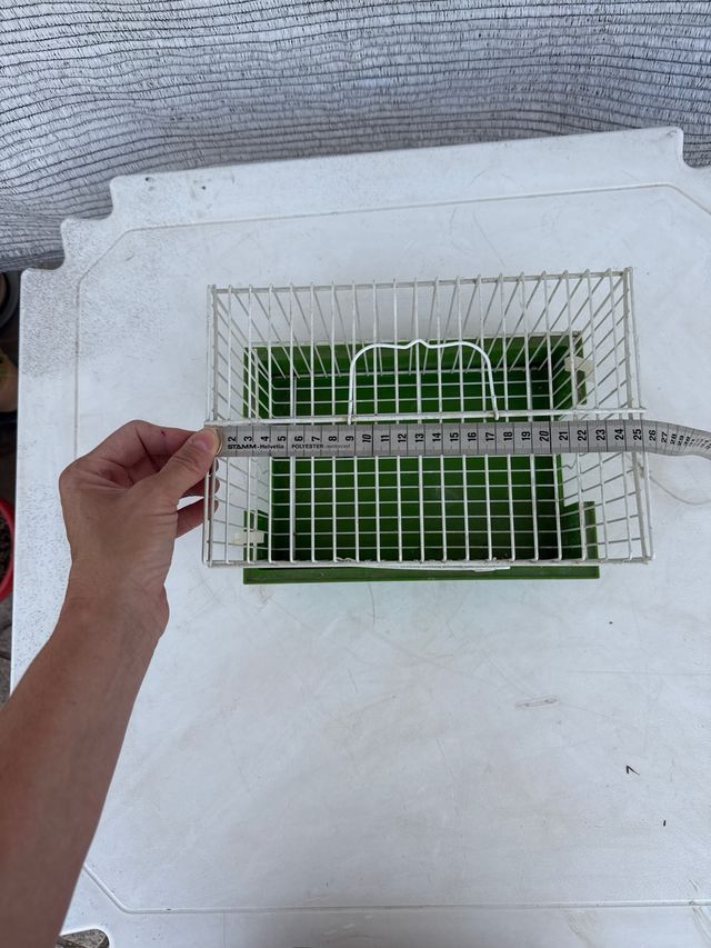 Jaula pájaros pequeña - Verde