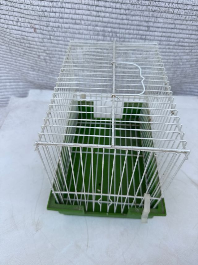 Jaula pájaros pequeña - Verde