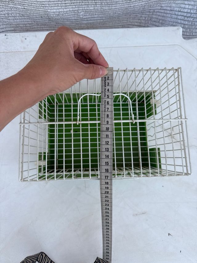 Jaula pájaros pequeña - Verde