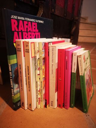 Lote de 11 libros infantil-juvenil