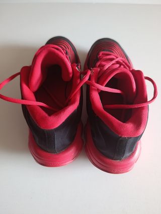 Zapatillas basket Nike Antetokounmpo 