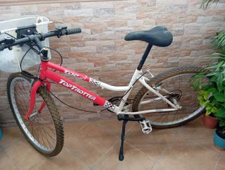 Bicicleta Top Trotter montaña