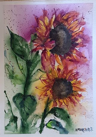 Acquerello acquarello girasoli sunflowers 