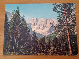 Cartoline vintage anni '50