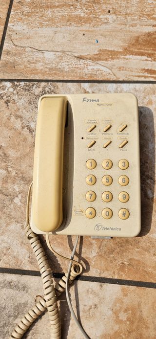2 Teléfonos: Forma y Domo