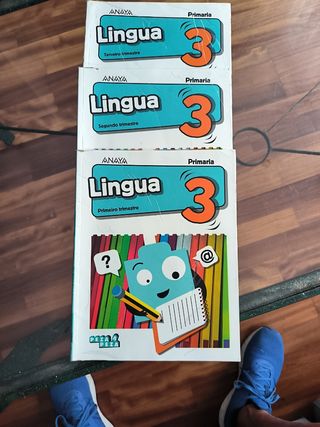 Anaya primaria lingua