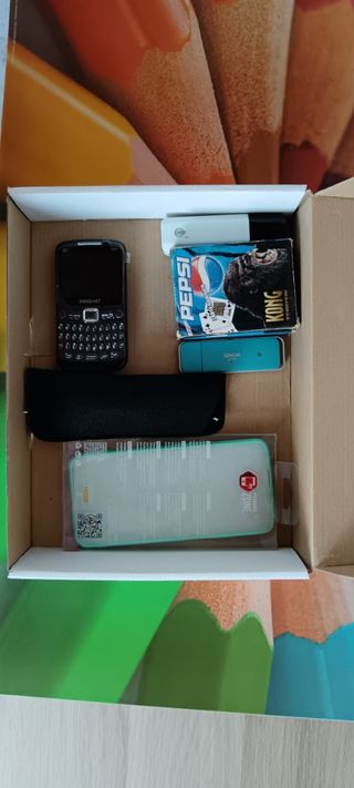 Lotto Telefonino+Accessori