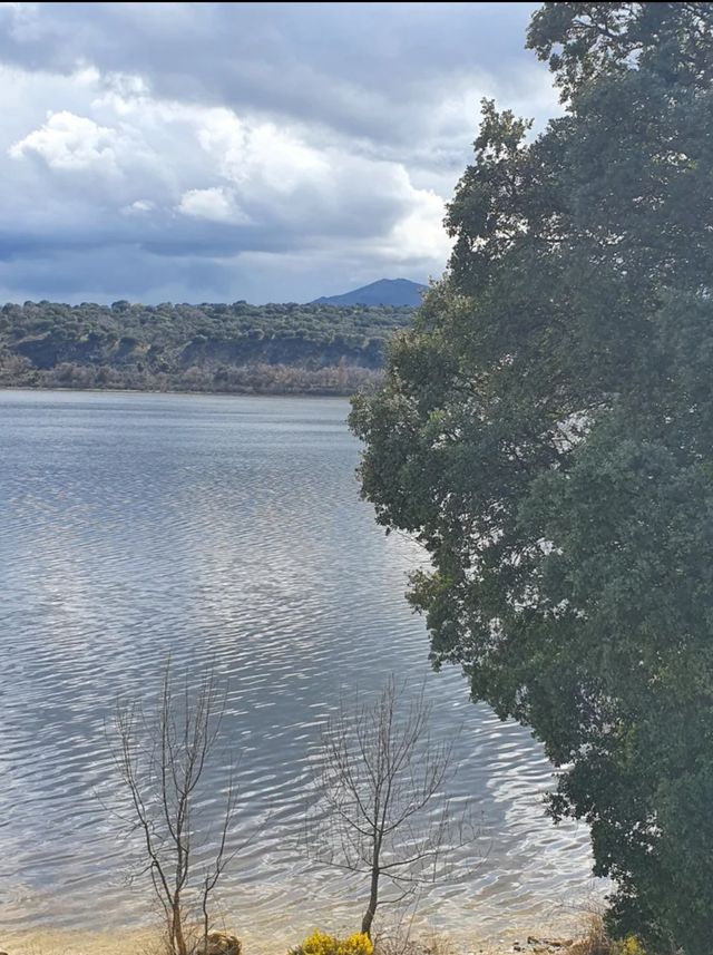 Clases inglés online 1:1