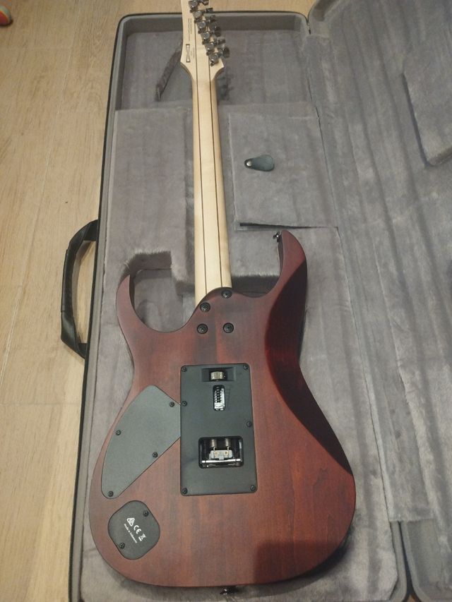 Guitarra eléctrica Ibanez Premium