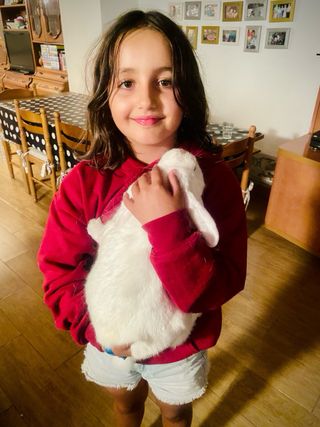 Cuidado de mascotas pequeñas en nuestra casa