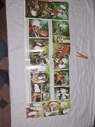 Álbum cromos orzowell