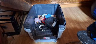 Transportín TKPET mediano gris-blanco