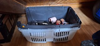 Transportín TKPET mediano gris-blanco