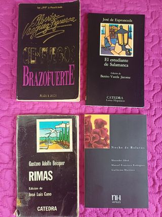 Lote 4 libros novelas y rimas 