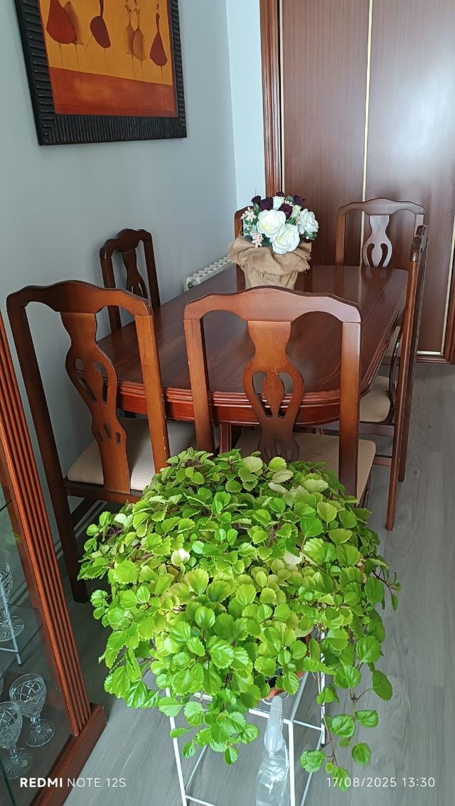 Mesa comedor 6 sillas madera