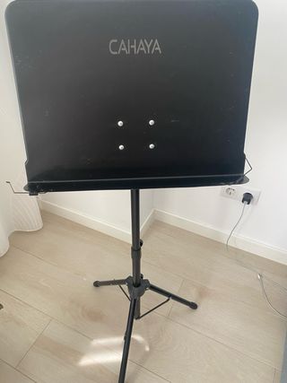 Atril de música con regalo ( violin polish)