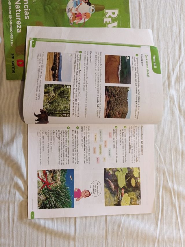 Ciencias da Natureza. 4 Primaria. Revoa