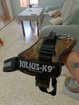 Arnés Julius K9 y juguete Kong