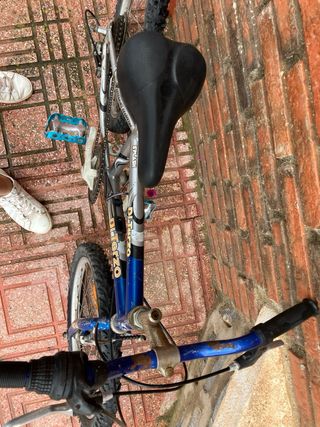 Bicicleta niño Di Terzo Splash