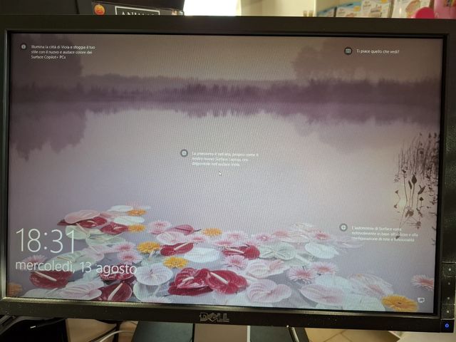 Monitor Dell P22 - 22" LCD 16:9