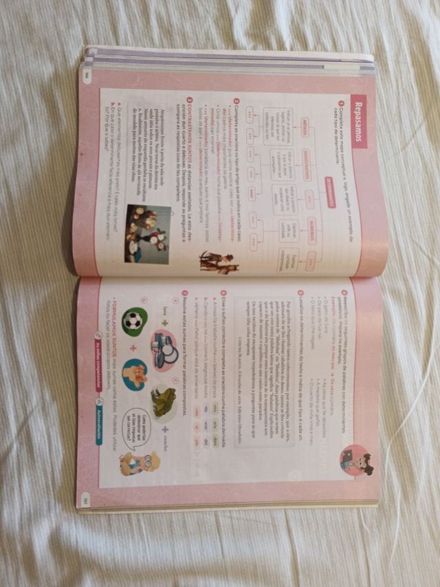 Lingua galega e Literatura. 4 Primaria. Revoa