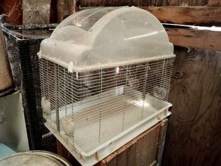 Jaulas para loro. Son grandes. Se escuchan ofertas