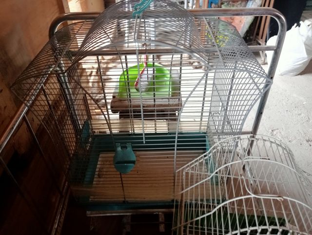 Jaulas para loro.
Son grandes.
Se escuchan ofertas