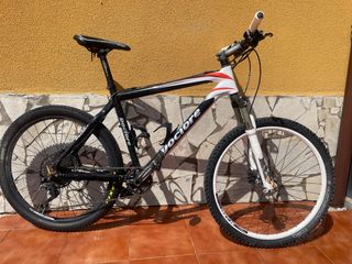 Bicicleta de montaña carbono