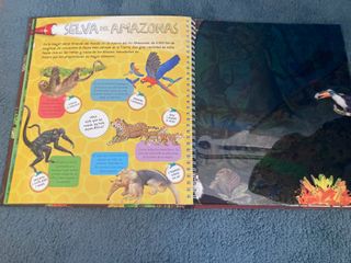 Animales y sus crías / Cuerpo humano