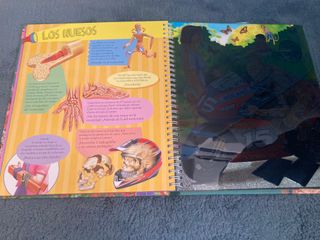 Animales y sus crías / Cuerpo humano