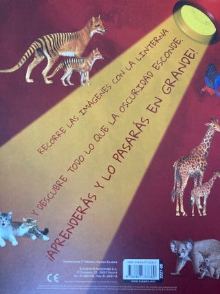 Animales y sus crías / Cuerpo humano