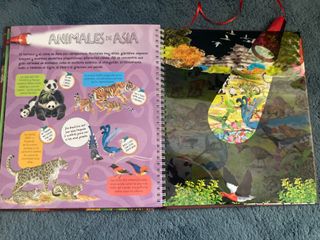 Animales y sus crías / Cuerpo humano