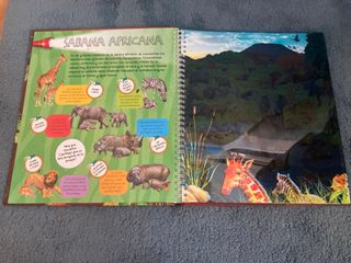 Animales y sus crías / Cuerpo humano