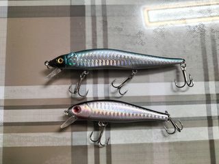 2 Señuelos Jerkbait 13g y 9'2 Pesca