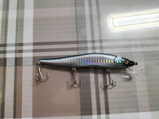 2 Señuelos Jerkbait 13g y 9'2 Pesca