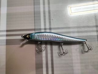 2 Señuelos Jerkbait 13g y 9'2 Pesca