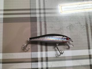 2 Señuelos Jerkbait 13g y 9'2 Pesca