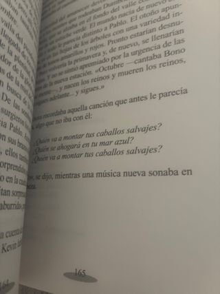 Y montaré caballos salvajes (Spanish Edition)